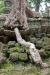 2009_07_18_angkor-149