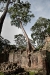 2009_07_18_angkor-733