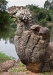 2009_07_18_angkor-853