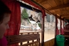2009_07_10_laos-222