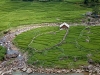 2009_08_09_sapa-221