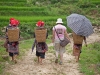 2009_08_09_sapa-34