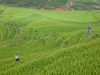 2009_08_09_sapa-5