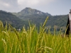 2009_08_09_sapa-55
