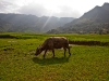 2009_08_09_sapa-90